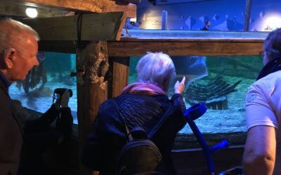 Geslaagde uitjes Sea Life en Polderzoom