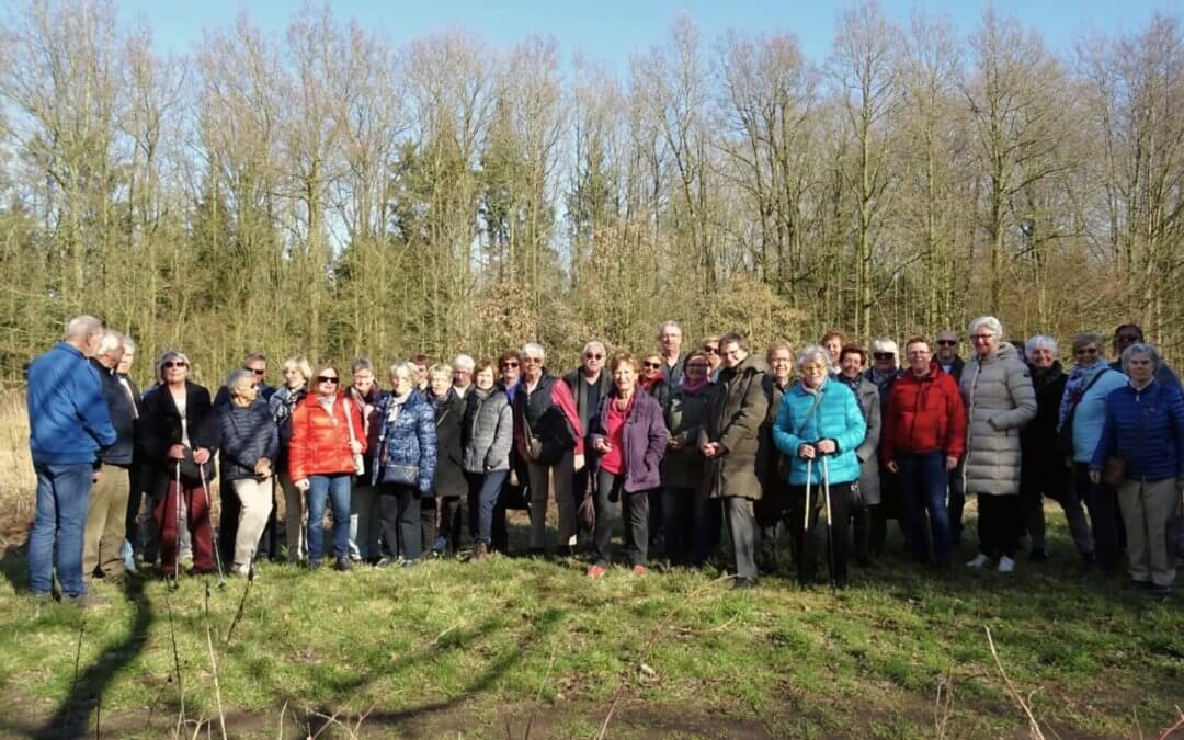 Zomerse wandeling in Flevolandse bossen