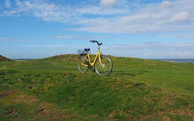 Fietsen met OpenJeHart in Lelystad